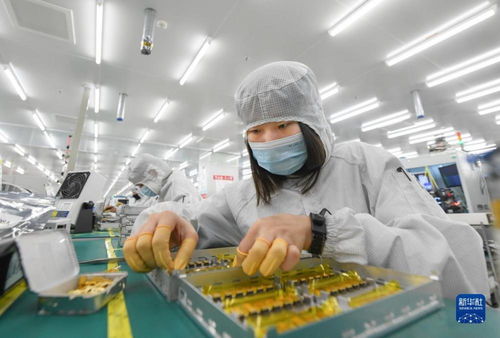靠譜服務驅動技術創新，標準引領未來——一家光通信企業的出海秘籍