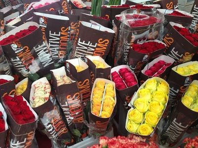 斗南國際花卉產業園 花海作伴，品味云南，禮品花卉銷售新體驗