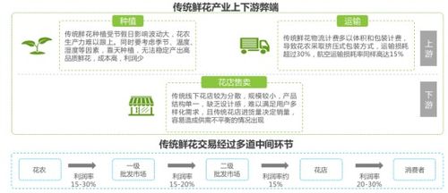 花花世界 從“禮品花”到“日常花”，看鮮花零售業(yè)的華麗轉(zhuǎn)身