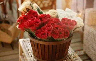 花點(diǎn)時(shí)間 上線兩年用戶破500萬，B輪融資引領(lǐng)禮品花卉銷售新潮流